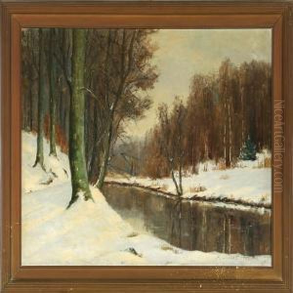 Vinter I Sorgenfri Slotspark - view 1