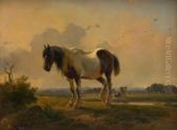 Cheval Sur Fond De Paysage - view 1
