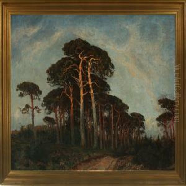 Tisvilde Hegn - view 1