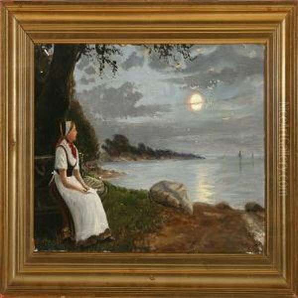 Evening View From Oster Sottrup, Southern Jutland - view 1