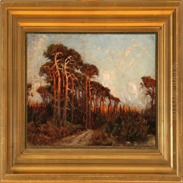Trees Bytisvilde - view 1