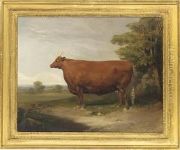 A Prize Cow In An Extensive Landscape; And A Prize Bull In Afarmyard - view 1