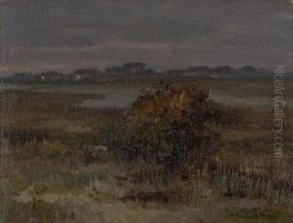 Barena Veneta - view 1