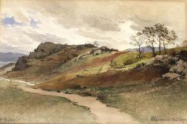 Rural Landscape - view 1