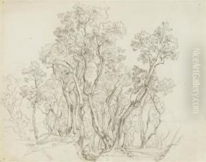 Olive Grove Withboy Resting. by Victor Paul Mohn