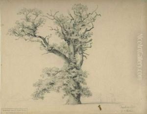 Baumstudie. by Victor Paul Mohn