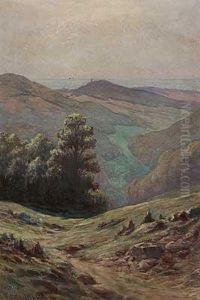Blick Uber Den Taunus