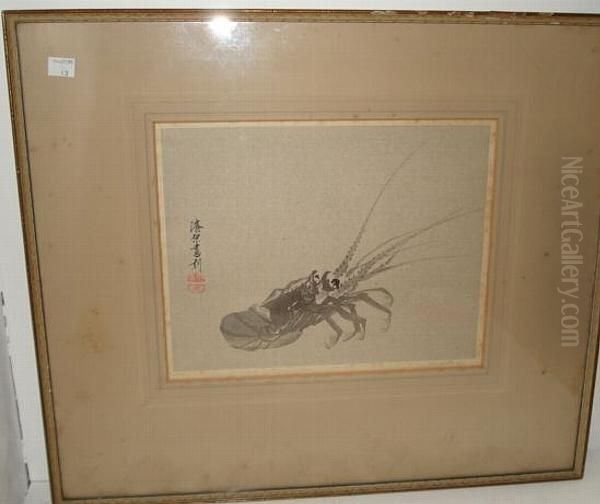 Crayfish - view 1