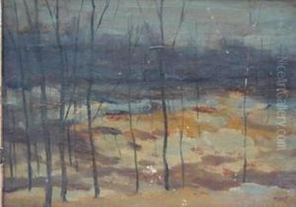 Winter Landscape - view 1