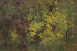 Padure by Paul Molda