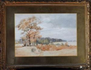 Trees In A Landscape by John Henry Mole