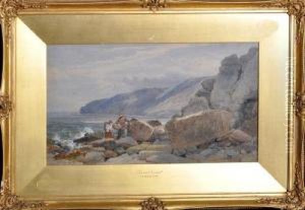 Dorset Coast - view 1