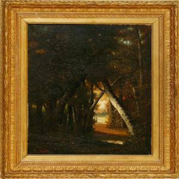 Fontainebleau - view 1