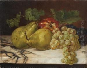 Stillleben Mit Birnen, Apfel Und Trauben by Franz Molitor