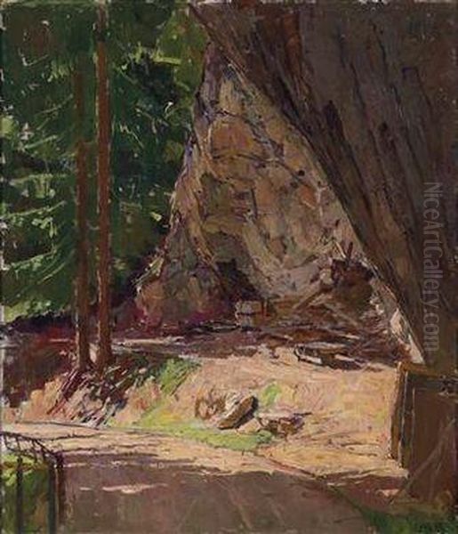 Path Through The Woods Am Semmering - view 1