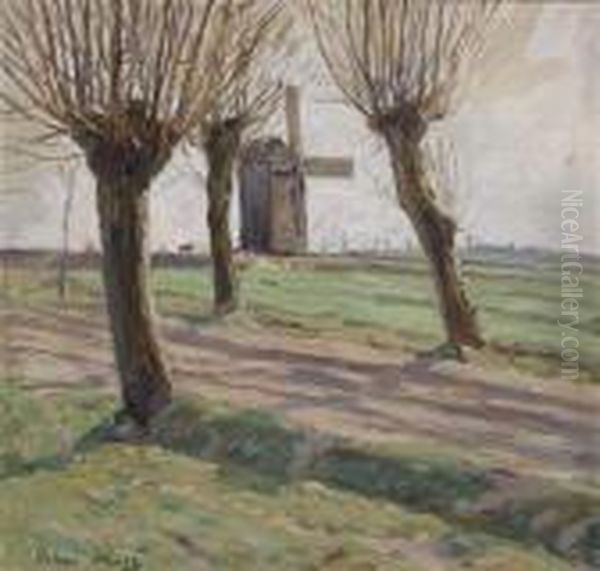Willows By The Path - view 1