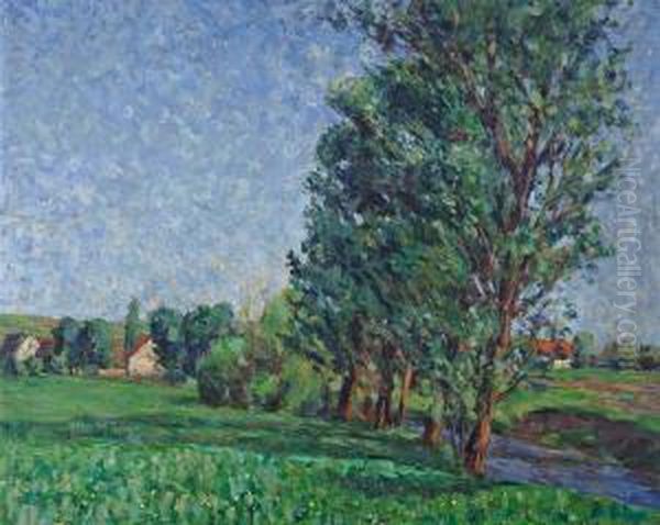 Sommerliche Wiesenlandschaft Mit Baumen - view 1