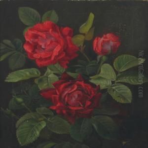 Roses by Christian Mollback