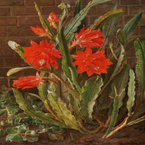 Cactus In Bloom by Christian Mollback