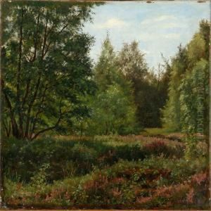 At A Glade