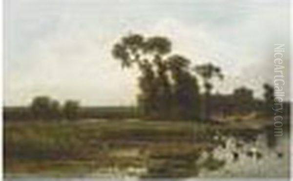 Ducks In A Summer Landscape - view 1