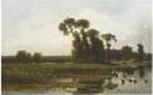 Ducks In A Summer Landscape
