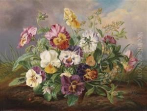 Pansies