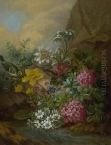 Alpenblumen.