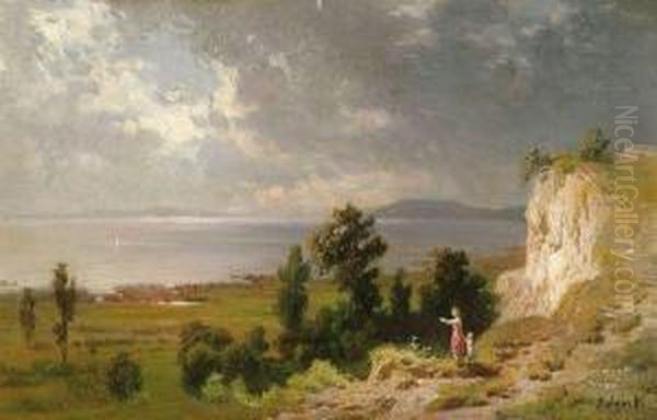 Balaton-parti Reszlet - view 1