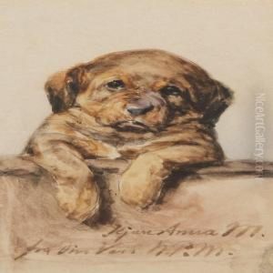 A Puppy by Niels Pedersen Mols