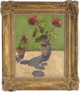 Flowering Geraniums
