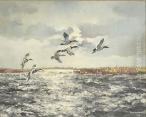 Canvasbacks by Hugh Monahan