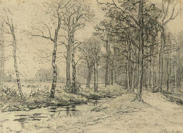 Landscape Along A Stream In A Forest - view 1