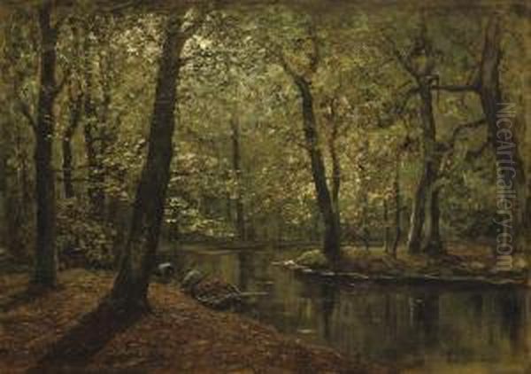 Boschvijver: A Forest In Autumn - view 1