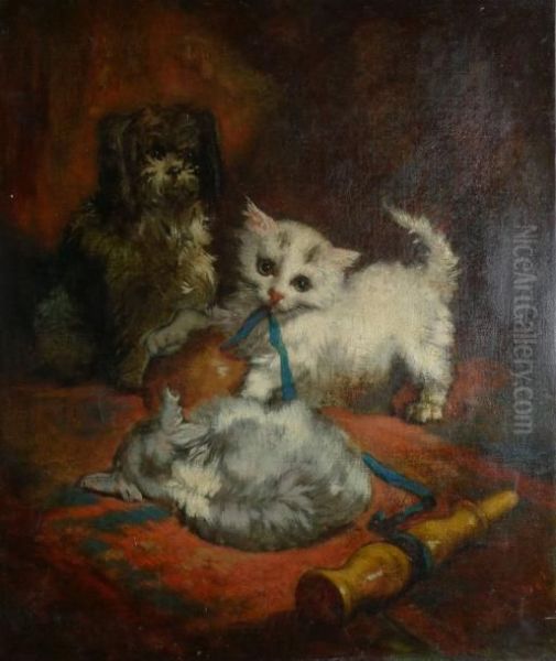 Chiot Et Chatons - view 1
