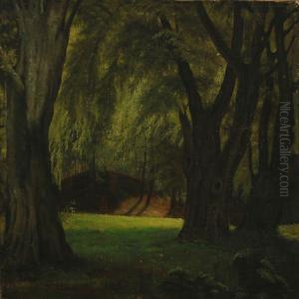 Forest Scenery - view 1