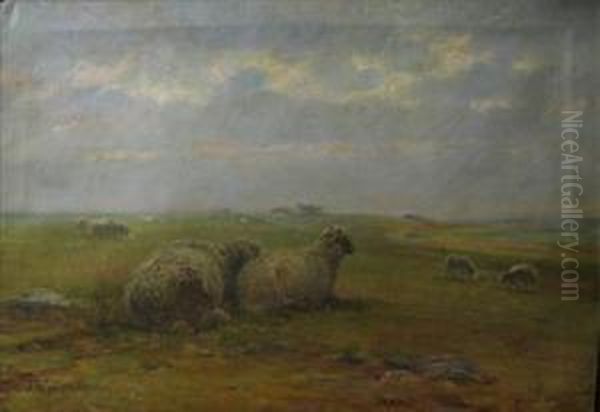 Sheep In A Landscape - view 1