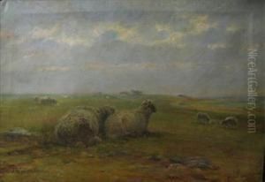 Sheep In A Landscape by John Austin Sands Monks