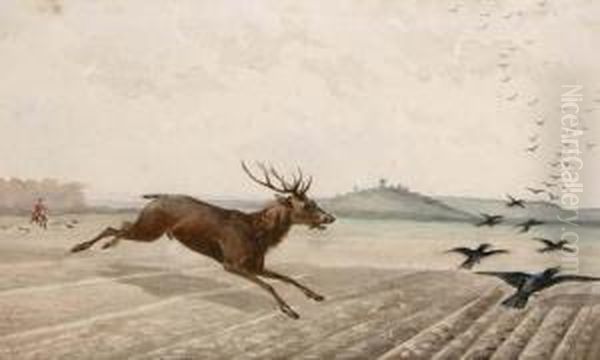 R.b . "chasse A Courre Du Cerf" - view 1