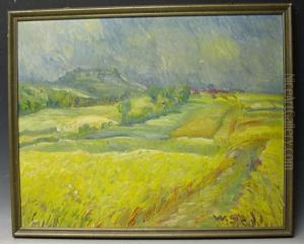Blick Uber Die Felder - view 1