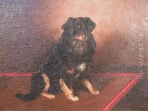 A Study Of A Seated Spaniel - view 1
