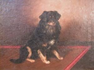 A Study Of A Seated Spaniel by Wt Monogrammist