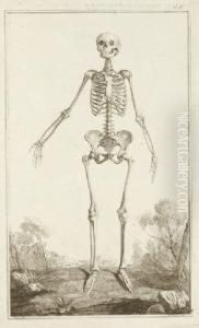 Traite D'osteologie by Alexander Monro