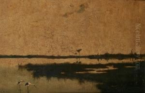 Extensive Lake Landscape With Storks