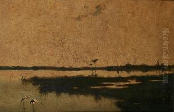 Extenisve Lake Landscape With Storks - view 1