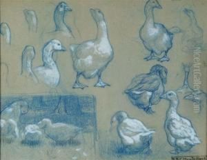Study Of Geese by Edward Brice Stanley Montefiore