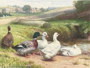 Ducks By A Pond by Edward Brice Stanley Montefiore