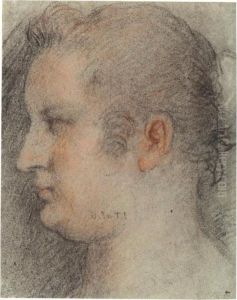 Study Of The Head Of A Woman Seen In Profile