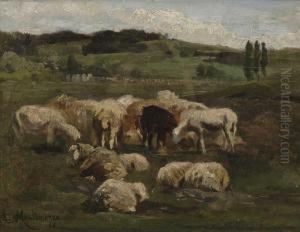 Schafe Auf Der Weide by Antonio (Antonis Matteo) Montemezzo