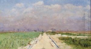 Paysage Du Sud